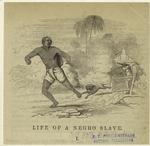 Life of a negro slave