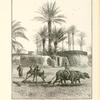 A village threshing floor.  Showing a primitive threshing-sledge drawn by buffaloes, and a peasant separating the chaff from the grain with a winnowing fork.  The huts of the village are formed of mud and sun-dried bricks, roofed with palm tree rafters thatched with stalks of Indian corn, palm leaves, and old mats.  The dark patches on the mud walls represent cakes of fuel made of dung and straw ; when thoroughly dry they are stored for use.