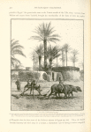 A village threshing floor.  Showing a primitive threshing-sledge drawn by buffaloes, and a peasant separating the chaff from the grain with a winnowing fork.  The huts of the village are formed of mud and sun-dried bricks, roofed with palm tree rafters thatched with stalks of Indian corn, palm leaves, and old mats.  The dark patches on the mud walls represent cakes of fuel made of dung and straw ; when thoroughly dry they are stored for use.