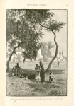 A wayside well. Shaded by a fine specimen of the Acacia Nilotica.  The water is raised by means of jars attached to a wheel, the sâkiyeh.