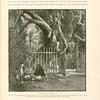 The "Virgin's tree."  At the time of the inauguration of the Suez Canal this tree was presented to the Empress Eugénie by the Khedive.  The garden in which it stands is watered by means of a double sakîyeh supplied from a reservoir fed by springs.