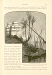 Pigeon-towers on the Nile. The battlements are formed of earthenware pots, and rows of Indian corn stalks project from the loopholed walls to serve as perches.