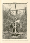 Shadûf. The weight of the water in the bucket is balanced by the lump of Nile mud at the other end of the swinging beam, and the water is thus raised to the mouth of the canal with little effort; but pulling the bucket down is hard work, and the machine is ruinously extravagant in labour.