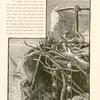 Nubian water-wheel.  In Nubia these sâkiyehs take the place of shadûfs of Upper Egypt, and though they are costly to erect they effect a considerable saving of labor.