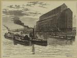 Transporting grain from the elevator to a steamship, for foreign consumption