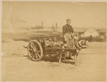 Woman with dog pulled cart