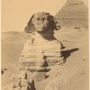 Sphinx Armachis [neg. 232]