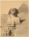 Sphinx Armachis [neg. 232]