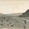 Dakka plain - Afghanistan