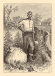 Cotton picker, 1860s