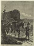 The army of the Cumberland - pack-mules in the mountains