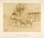 A Burmese country cart.