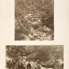 Wooden footbridge over mountain stream; Wagons, water buffaloes and man.