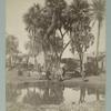 Louxor: pendant le inondation