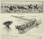 Indians on the Move ; Mexican ; A bull train