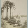 N° 785 Nil de Boulak Caire