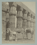 Temple Domenophis, Louxor