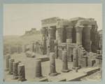 Kom ombos: vue du temple