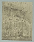 Kom ombos