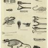 Reptiles and their skeletons and fossils