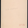 A Belle's Stratagem