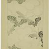 Design of bamboo and pine leaves, Japan