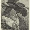 Banksian and slender-billed cockatoos