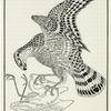 Falcon and egret