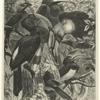 Group of hornbills