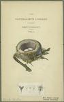 The naturalist's library, ornithology, vol. 1