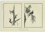 Pheasant & bamboo ; Swallow & willow tree