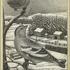 Winter wren -- Motacilla troglodytes, and snow bunting -- Emberira nivalis