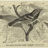 The black-throated green warbler -- Dendroeca virens