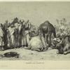 Marché aux chameaux