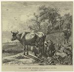 "Le vacher" (the cowherd)