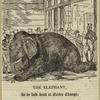 The elephant, as he laid dead at Greter Change