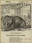 The elephant, as he laid dead at Greter Change
