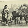 Donkey drinking from a body of water, person wading in water