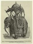 Embroidered housings and trappings of the elephant and Howdah exhibited by her Majesty in Great Exhibition, 1851