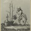 Monkey watering dead trees