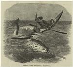 Greenlander spearing a narwhal
