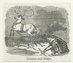 Reindeer and sledge