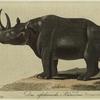 Das afrikanishche Rhinoceros