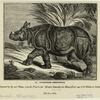 One-horned rhinoceros