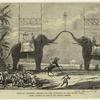 Arch at Colombo, Ceylon, on the occasion of the royal visit