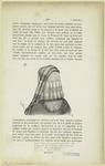 Hair falling loose under caul over-veil of dark or rich material caul in formal pleats, French, 16th cent