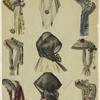 Women's hats, bonnets, and dresses, 19th century