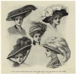 A hat must frame the full face, side face, and the back of the head