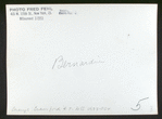 Bernardine