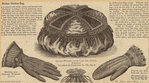 https://images.nypl.org/index.php?t=t&id=824911